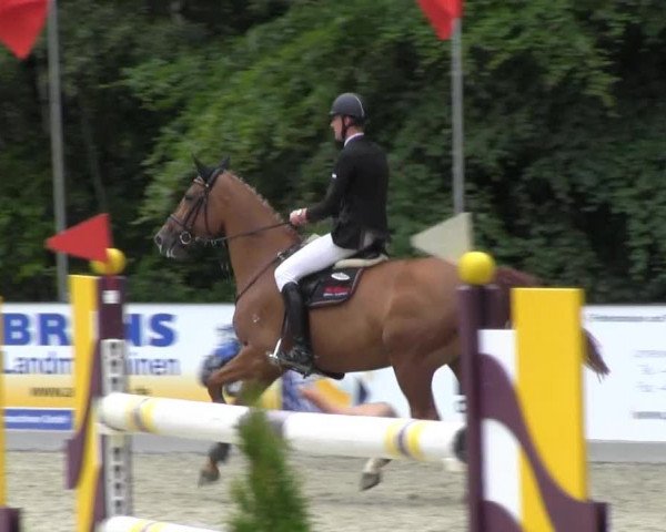 Reitturnier Cloppenburg 2013
