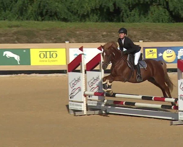 Reitturnier Tiefenhof/Opf. 2024