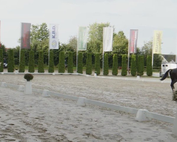 Reitturnier Meinerzhagen 2024