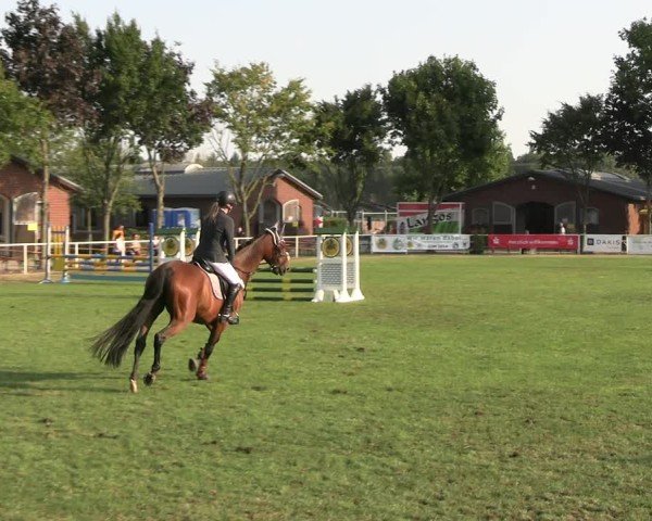 Reitturnier Münchehofe 2024