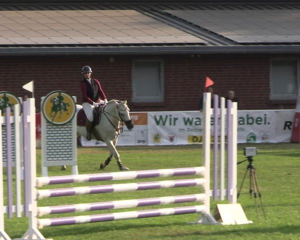 Reitturnier Münchehofe 2024