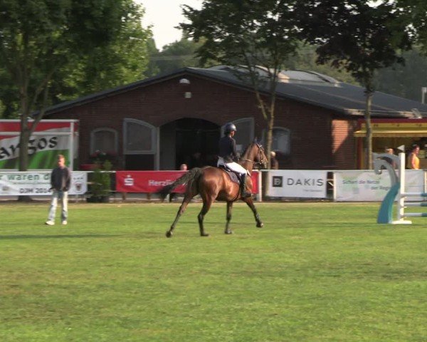 Reitturnier Münchehofe 2024