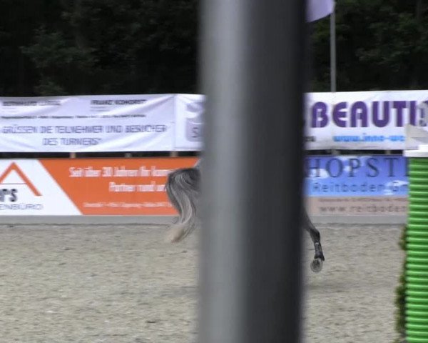 Reitturnier Cloppenburg 2013