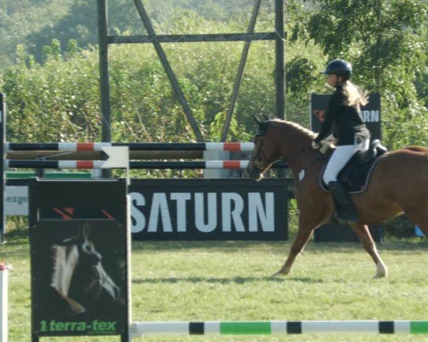 Reitturnier Leonberg 2024
