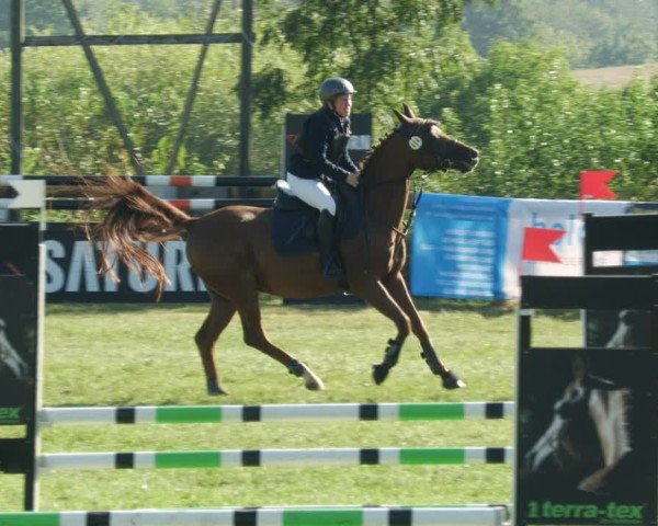 Reitturnier Leonberg 2024