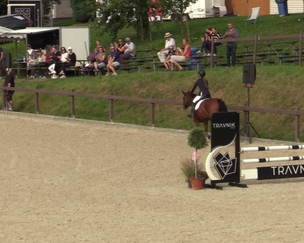 Reitturnier Leichlingen-Witzhelden 2024