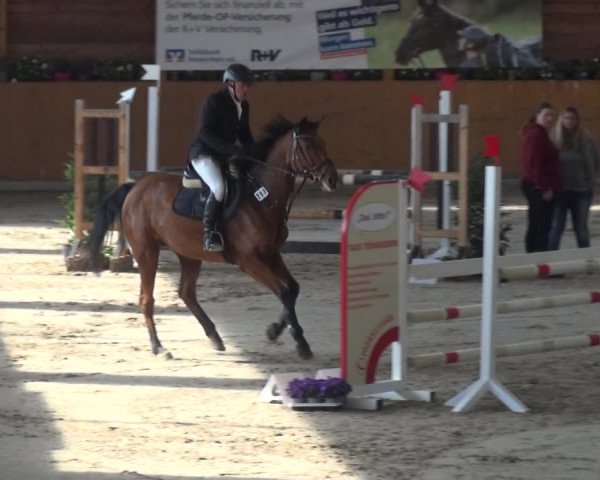 Springturnier Xanten - Reitanlage Miss 2021