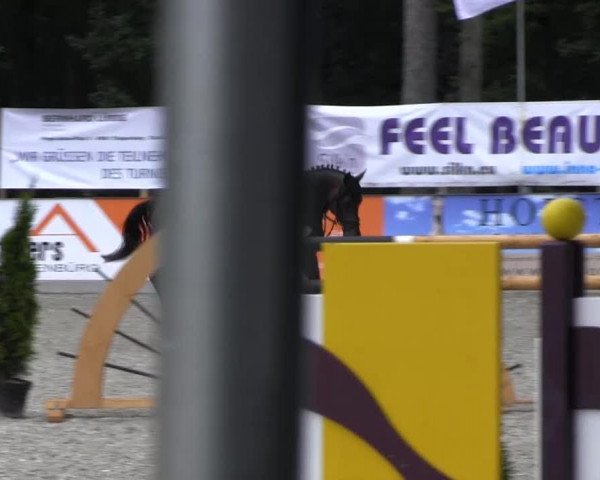 Weser-Ems-Meisterschaften 2013
