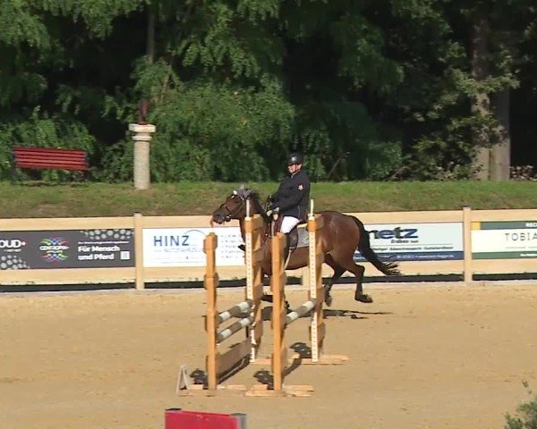 Reitturnier Tiefenhof/Opf. 2024