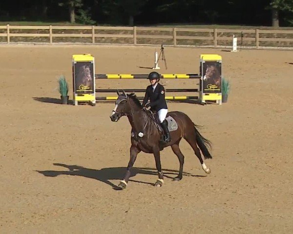 Reitturnier Tiefenhof/Opf. 2024
