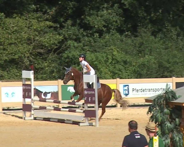Reitturnier Tiefenhof/Opf. 2024