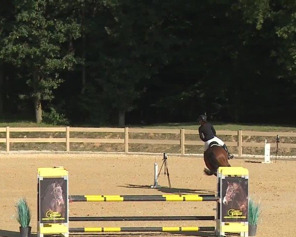 Reitturnier Tiefenhof/Opf. 2024