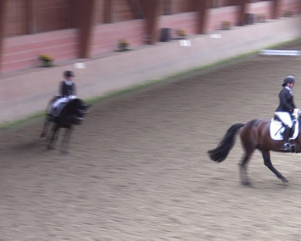 Reitturnier Dortmund-Barop 2024