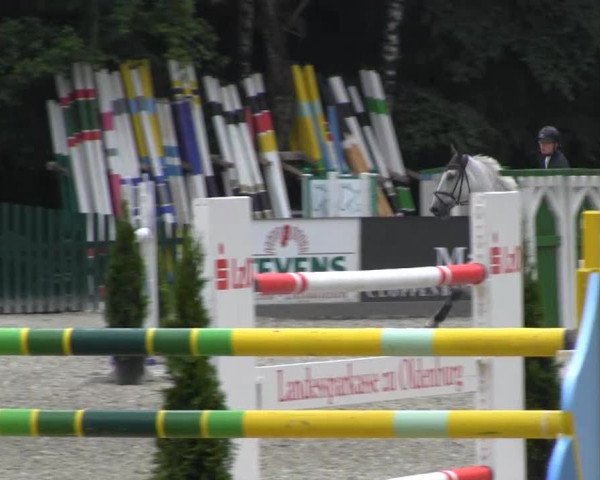 Reitturnier Cloppenburg 2013