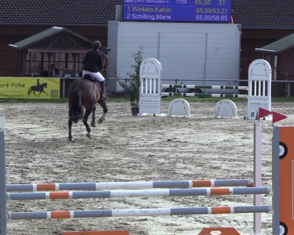 Reitturnier Dortmund-Barop 2024