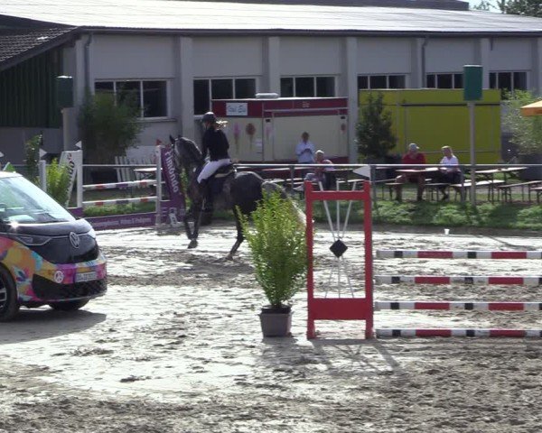 Reitturnier Dortmund-Barop 2024