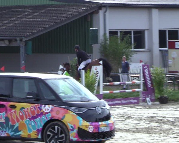 Reitturnier Dortmund-Barop 2024