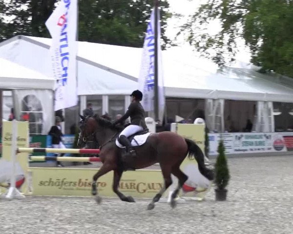 Reitturnier Cloppenburg 2013
