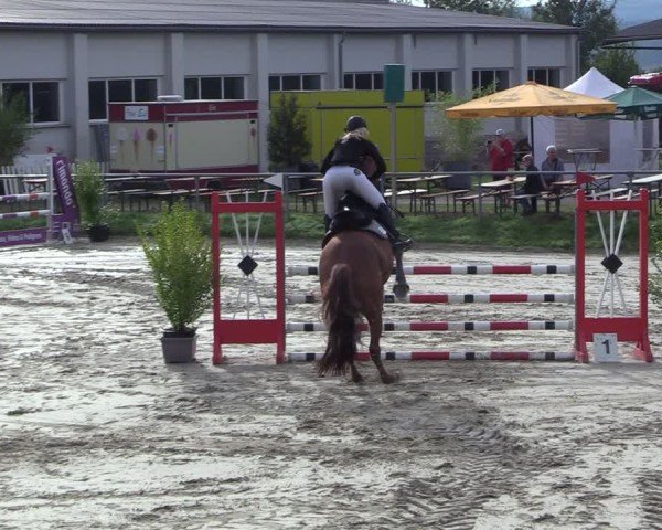 Reitturnier Dortmund-Barop 2024