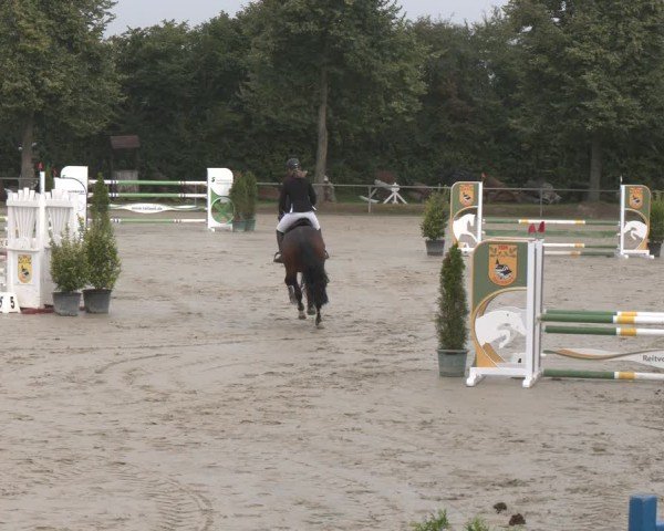 Reitturnier Appelhülsen 2024