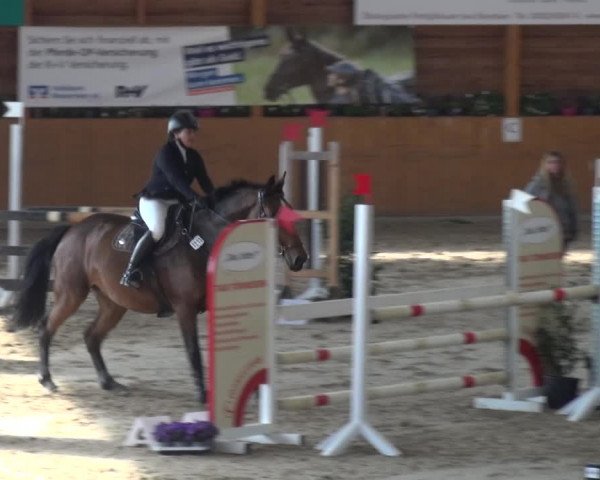 Springturnier Xanten - Reitanlage Miss 2021