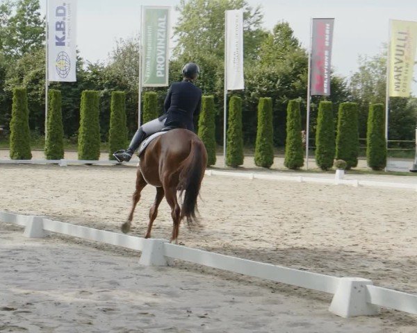 Reitturnier Meinerzhagen 2024