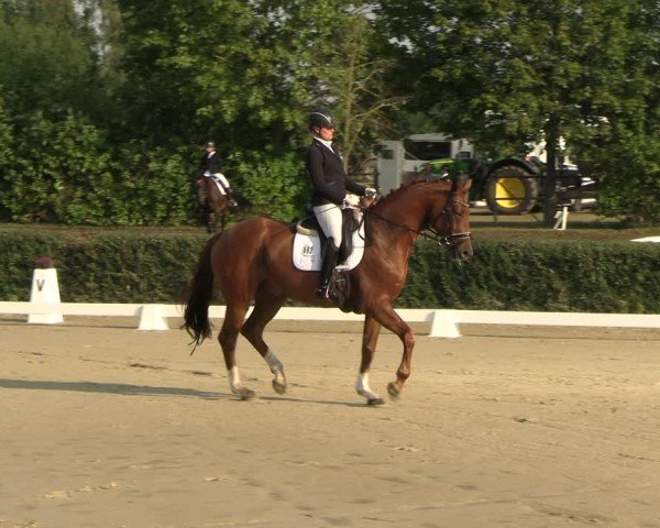 Reitturnier Westeregeln 2024