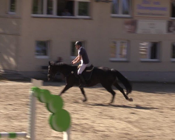 Reitturnier Lgl.-Oberhain, B95 2024