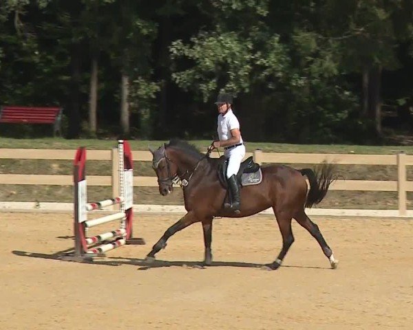 Reitturnier Tiefenhof/Opf. 2024