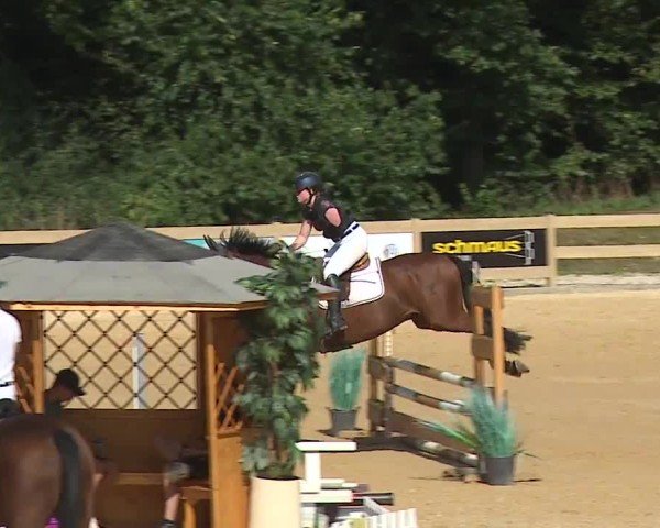 Reitturnier Tiefenhof/Opf. 2024