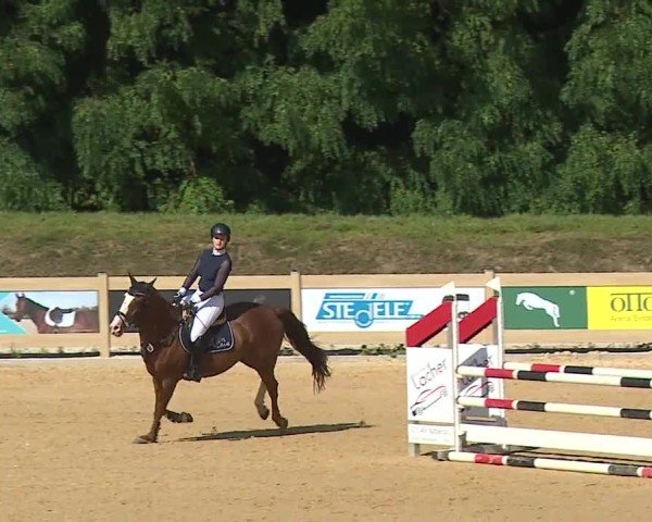 Reitturnier Tiefenhof/Opf. 2024
