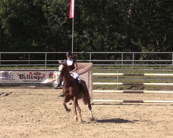 Reitturnier Lgl.-Oberhain, B95 2024