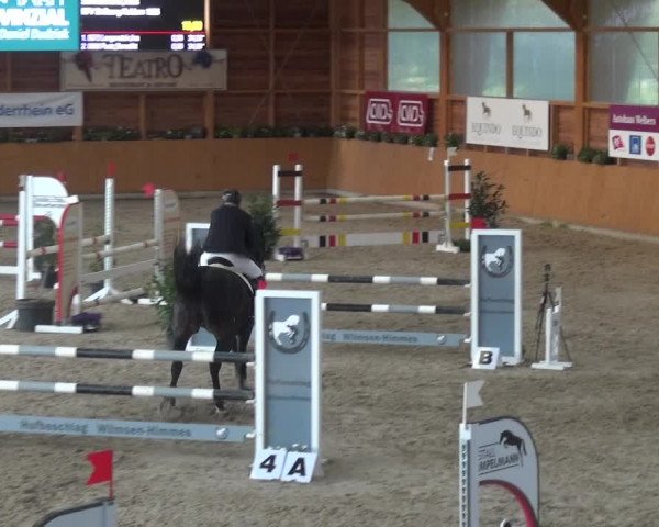 Springturnier Xanten - Reitanlage Miss 2021