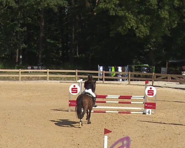 Reitturnier Tiefenhof/Opf. 2024