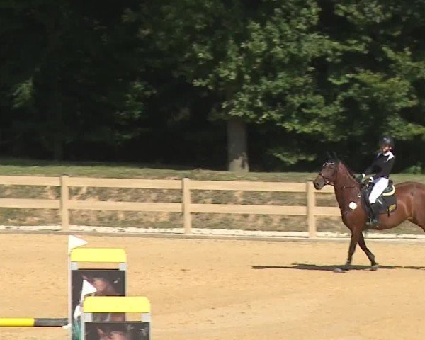 Reitturnier Tiefenhof/Opf. 2024