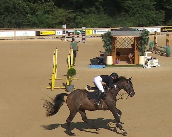 Reitturnier Tiefenhof/Opf. 2024