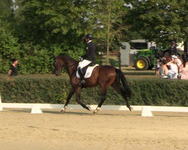 Reitturnier Westeregeln 2024