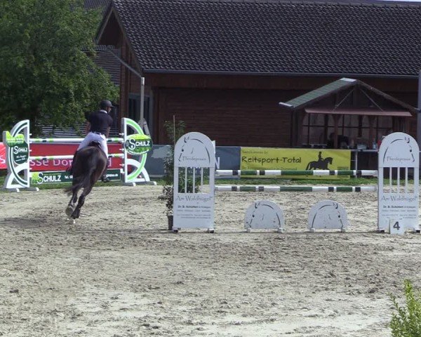 Reitturnier Dortmund-Barop 2024