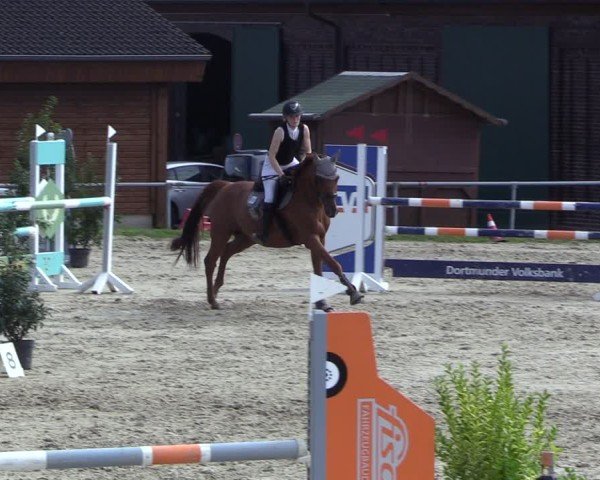 Reitturnier Dortmund-Barop 2024