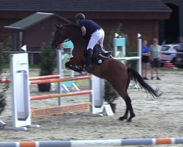 Reitturnier Dortmund-Barop 2024