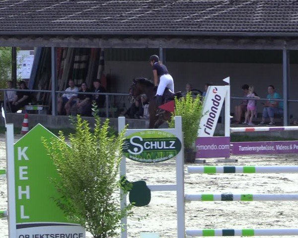 Reitturnier Dortmund-Barop 2024