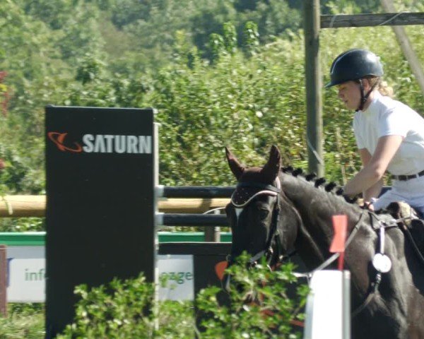 Reitturnier Leonberg 2024
