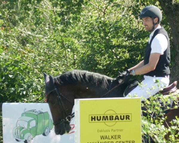 Reitturnier Leonberg 2024
