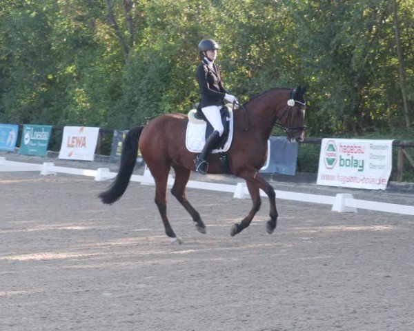 Reitturnier Leonberg 2024
