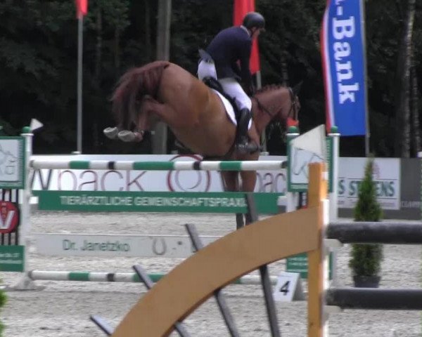 Reitturnier Cloppenburg 2013
