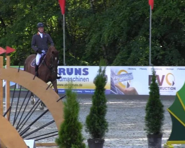 Reitturnier Cloppenburg 2013