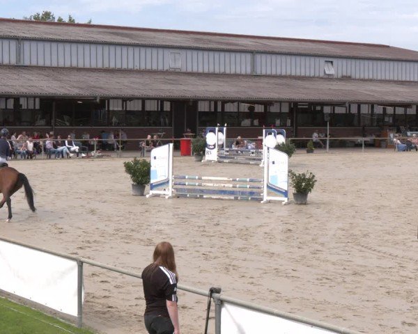 Reitturnier Appelhülsen 2024