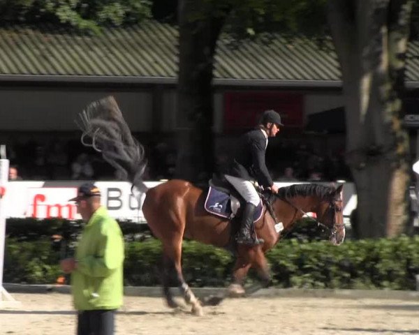 Weser-Ems-Meisterschaften 2013