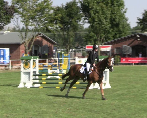 Reitturnier Münchehofe 2024