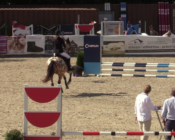 Reitturnier Leichlingen-Witzhelden 2024